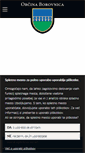 Mobile Screenshot of borovnica.si